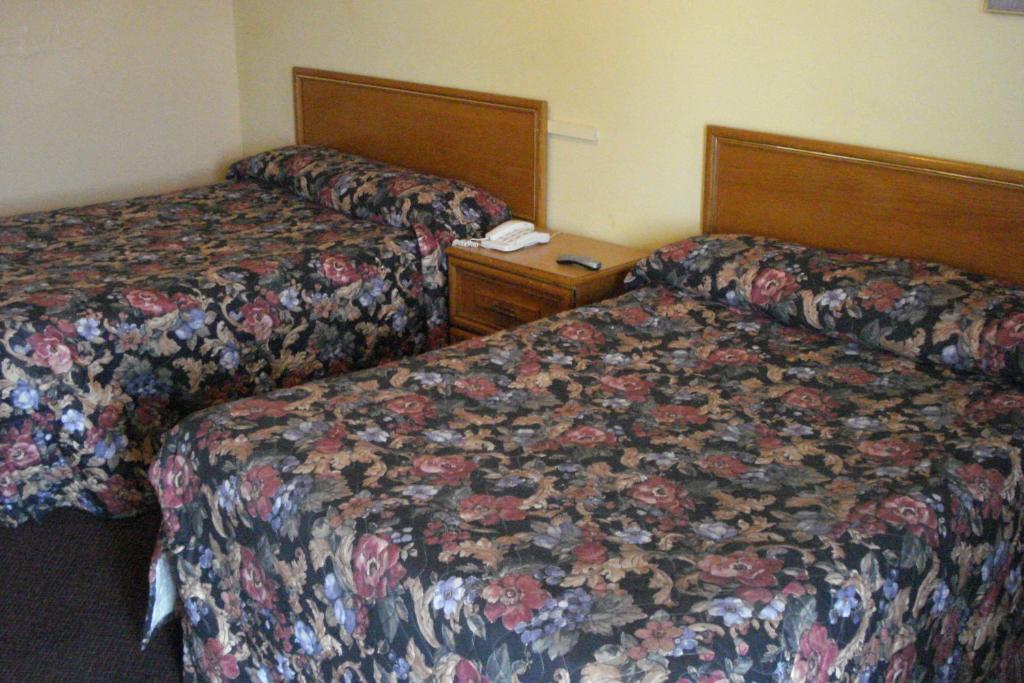 Eastcourt London Motel Værelse billede